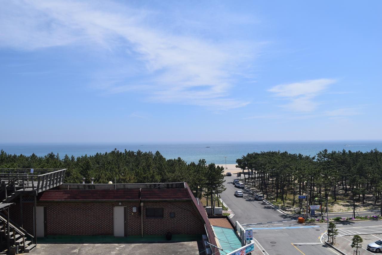 Sumsum Guest House Yangyang Extérieur photo